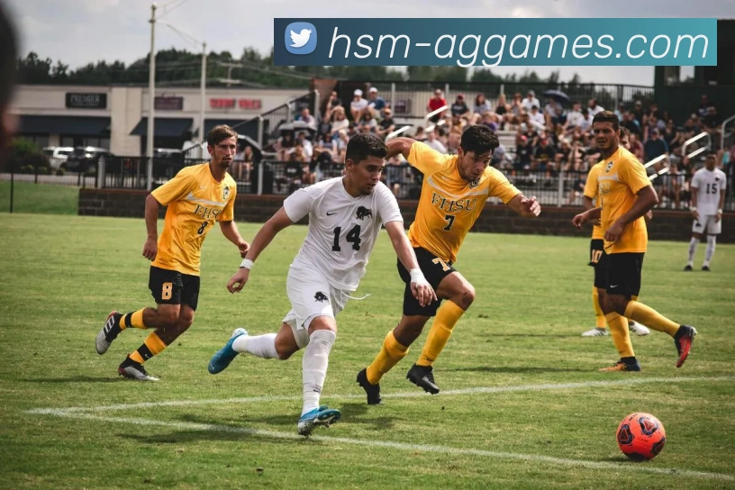 AG真人官网APP 封面图